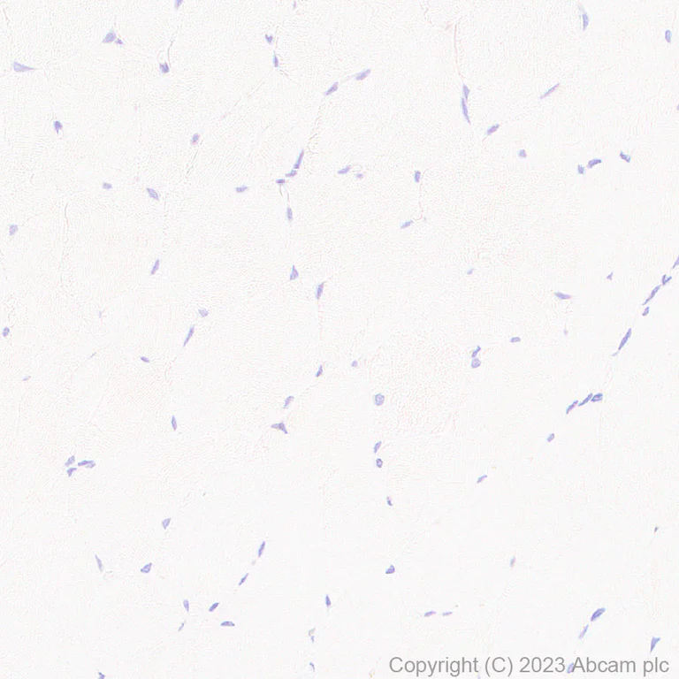 Immunohistochemistry (Formalin/PFA-fixed paraffin-embedded sections) - Anti-GM2A antibody [EPR28371-75] - BSA and Azide free (AB313588)