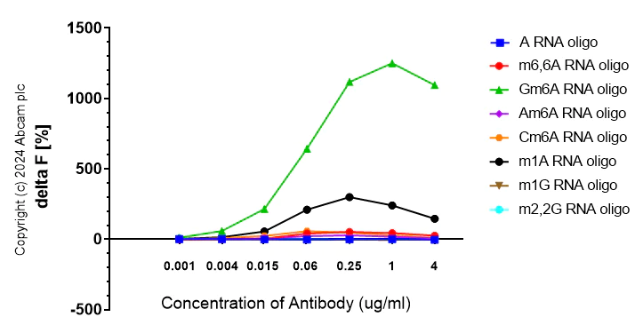 FRET - Anti-Gm6A antibody [EPR25802-21] (AB315152)
