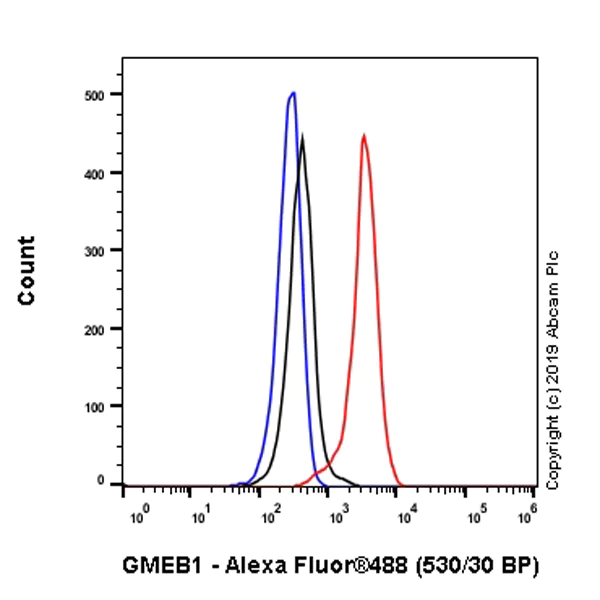 Flow Cytometry (Intracellular) - Anti-GMEB1 antibody [EPR23056-62] (AB240646)