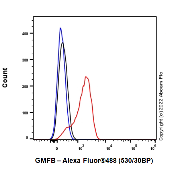 Flow Cytometry (Intracellular) - Anti-GMFB antibody [EPR25849-25] (AB303512), expandable thumbnail