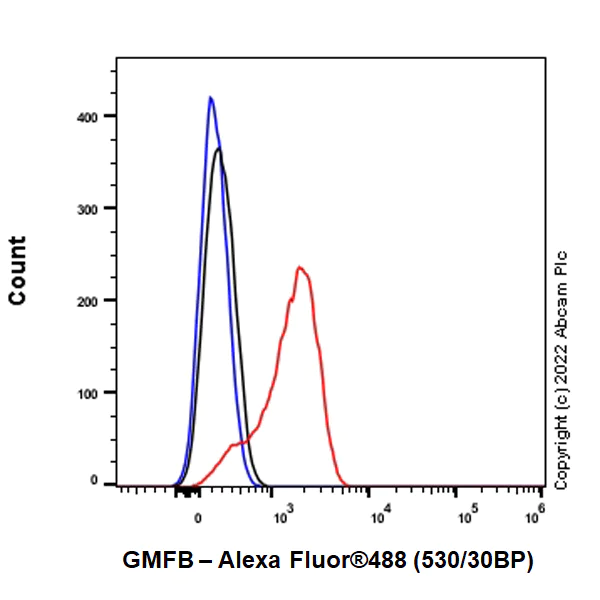 Flow Cytometry (Intracellular) - Anti-GMFB antibody [EPR25849-25] (AB303512)