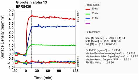 OI-RD Scanning - Anti-GNA13 antibody [EPR5436] (ab128900), expandable thumbnail