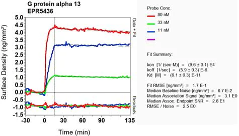 OI-RD Scanning - Anti-GNA13 antibody [EPR5436] (AB128900)