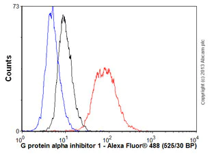 Flow Cytometry (Intracellular) - Anti-GNAI1 antibody [EPR9441(B)] (AB140125)
