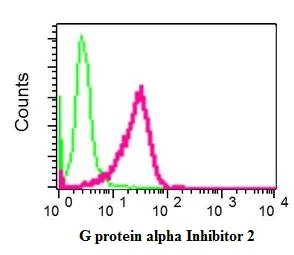 Flow Cytometry (Intracellular) - Anti-GNAI2 antibody [EPR9468] - BSA and Azide free (AB248787)