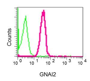 Flow Cytometry (Intracellular) - Anti-GNAI2 antibody [EPR9469] (ab157204), expandable thumbnail