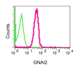Flow Cytometry (Intracellular) - Anti-GNAI2 antibody [EPR9469] - BSA and Azide free (AB240140)
