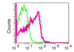 Flow Cytometry (Intracellular) - Anti-GNAI3 antibody [EPR11900] - BSA and Azide free (AB249914)