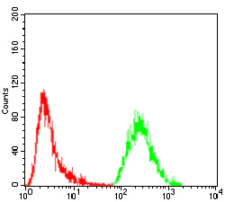 Flow Cytometry - Anti-GNAS antibody [2A2B7] (AB204996)