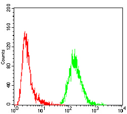 Flow Cytometry - Anti-GNAS antibody [7G6G5] (AB216129)