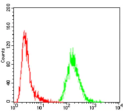 Flow Cytometry - Anti-GNAS antibody [7G6G5] (AB216129)