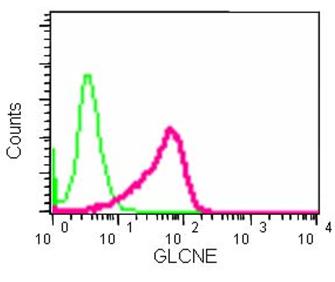 Flow Cytometry (Intracellular) - Anti-GNE antibody [EPR15058] (AB184963), expandable thumbnail