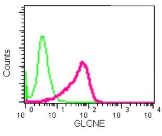 Flow Cytometry (Intracellular) - Anti-GNE antibody [EPR15058] - BSA and Azide free (AB250798)
