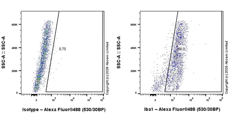 Flow Cytometry (Intracellular) - Goat Anti-Chicken IgY H&L (Alexa Fluor® 488) preadsorbed (AB150173)