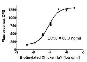 Sandwich ELISA - Goat Anti-Chicken IgY H&L (PE) (AB72482), expandable thumbnail