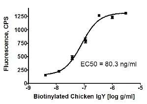 Sandwich ELISA - Goat Anti-Chicken IgY H&L (PE) (AB72482)