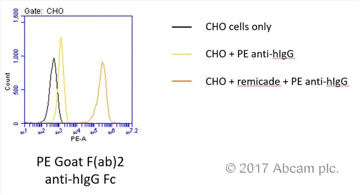 Flow Cytometry - Goat F(ab')2 Anti-Human IgG - Fc (PE), pre-adsorbed (AB98596)