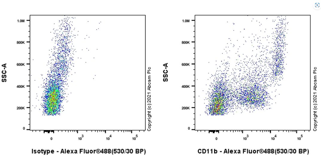 Flow Cytometry - Goat F(ab')2 Anti-Rat IgG Fc (Alexa Fluor® 488) preadsorbed (ab150161), expandable thumbnail