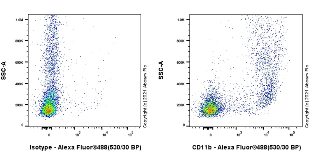 Flow Cytometry - Goat F(ab')2 Anti-Rat IgG Fc (Alexa Fluor® 488) preadsorbed (ab150161), expandable thumbnail