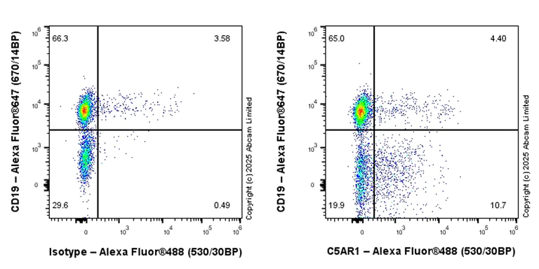 Flow Cytometry - Goat F(ab')2 Anti-Rat IgG Fc (Alexa Fluor® 488) preadsorbed (AB150161)