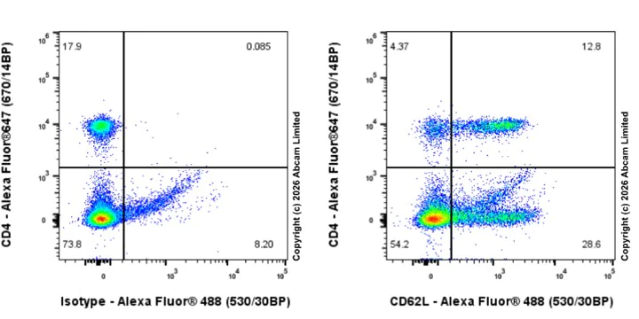 Flow Cytometry - Goat F(ab')2 Anti-Rat IgG Fc (Alexa Fluor® 488) preadsorbed (AB150161)