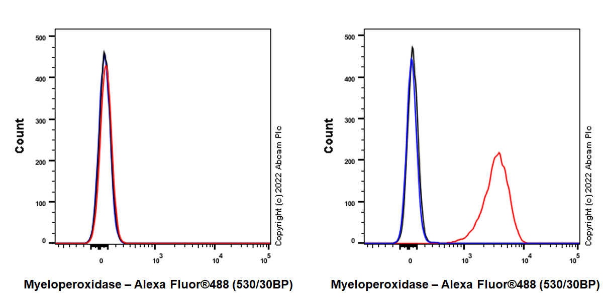 Flow Cytometry (Intracellular) - Goat F(ab')2 Anti-Rat IgG Fc (Alexa Fluor® 488) preadsorbed (ab150161), expandable thumbnail