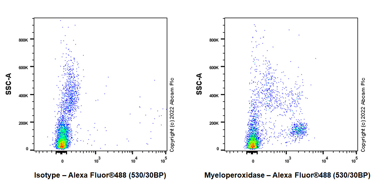 Flow Cytometry (Intracellular) - Goat F(ab')2 Anti-Rat IgG Fc (Alexa Fluor® 488) preadsorbed (ab150161), expandable thumbnail
