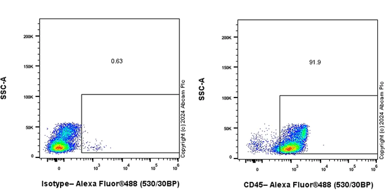 Flow Cytometry (Intracellular) - Goat F(ab')2 Anti-Rat IgG Fc (Alexa Fluor® 488) preadsorbed (AB150161)