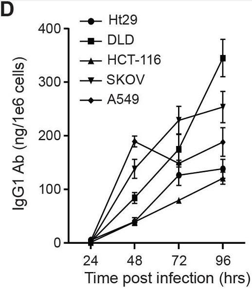 ELISA - Goat Anti-Human IgG (Fab')2 (HRP) (AB87422), expandable thumbnail