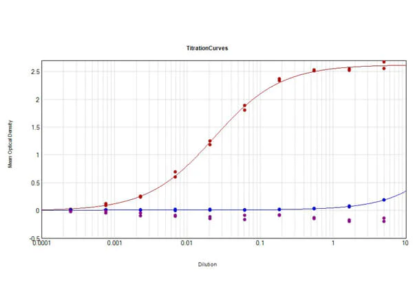 ELISA - Goat Anti-Human IgG H&L preadsorbed (AB7148)