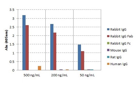 ELISA - Goat monoclonal RMG01 Anti-Rabbit IgG F(ab) (Biotin) (AB238530), expandable thumbnail