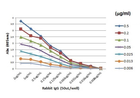 ELISA - Goat monoclonal RMG01 Anti-Rabbit IgG F(ab) (Biotin) (AB238530), expandable thumbnail