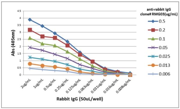 ELISA - Goat monoclonal [RMG03] Anti-Rabbit IgG H&L (Biotin) (AB272179), expandable thumbnail