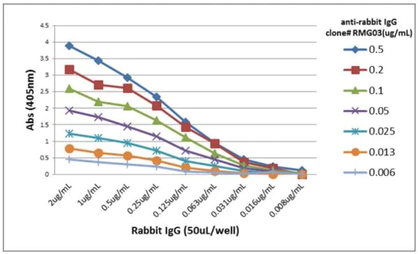 ELISA - Goat monoclonal [RMG03] Anti-Rabbit IgG H&L (Biotin) (AB272179)