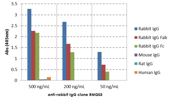 ELISA - Goat monoclonal [RMG03] Anti-Rabbit IgG H&L (Biotin) (AB272179)