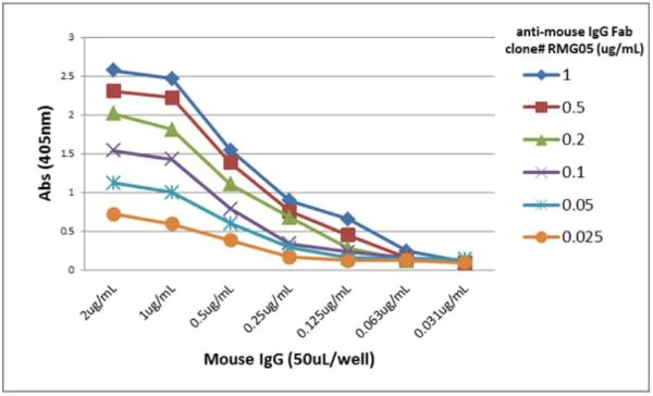 ELISA - Goat monoclonal [RMG05] Anti-Mouse IgG F(ab) (Biotin) (AB272180)
