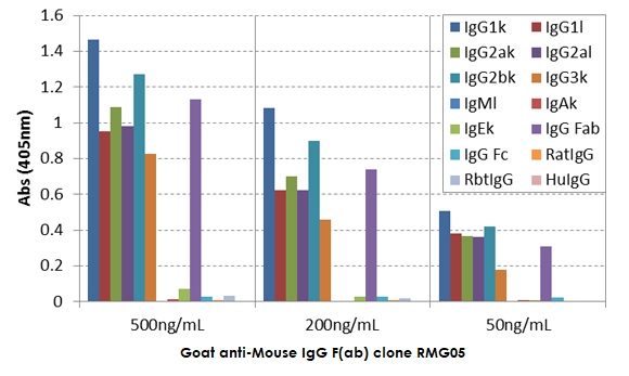 Goat monoclonal [RMG05] Anti-Mouse IgG F(ab) (Biotin)