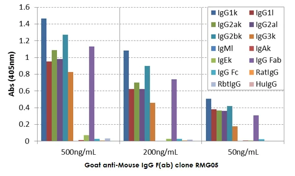 ELISA - Goat monoclonal [RMG05] Anti-Mouse IgG F(ab) (Biotin) (AB272180)