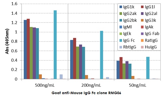 ELISA - Goat monoclonal [RMG06] Anti-Mouse IgG Fc (Biotin) (AB272181), expandable thumbnail