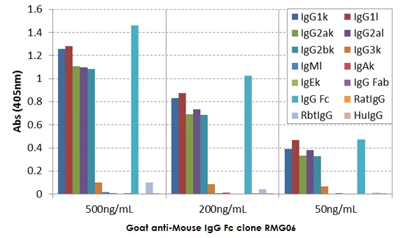 ELISA - Goat monoclonal [RMG06] Anti-Mouse IgG Fc (Biotin) (AB272181)
