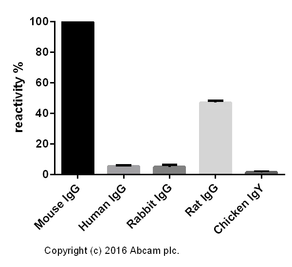 ELISA - Goat Anti-Mouse IgG H&L (AB182017)