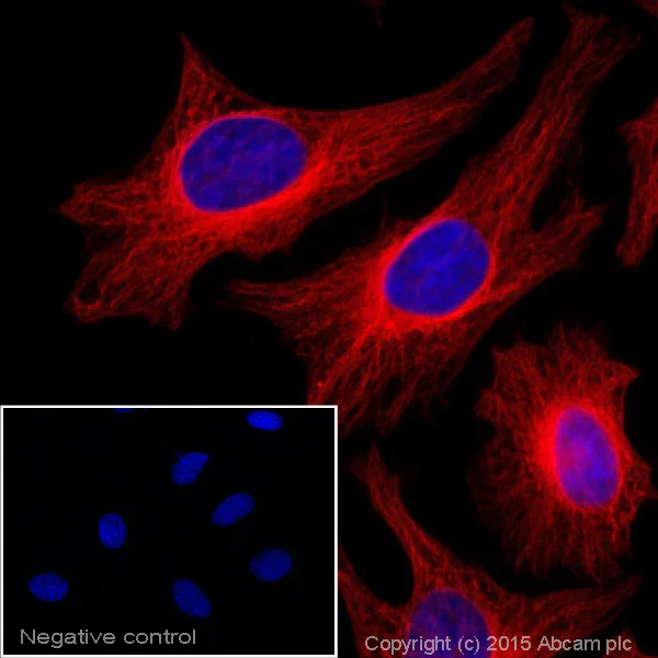 ahpl A.H.P.L アンドッパーレアCOLOR ahpl A.H.P.L アンドッパーレアCOLOR ahpl A.H.P.L