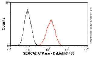 Flow Cytometry - Goat Anti-Mouse IgG H&L (DyLight® 488) preadsorbed (AB96879)