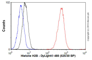 Flow Cytometry (Intracellular) - Goat Anti-Mouse IgG H&L (DyLight® 488) preadsorbed (AB96879)