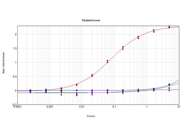 ELISA - Goat Anti-Mouse IgG H&L preadsorbed (AB7063), expandable thumbnail