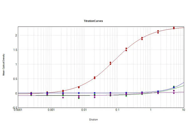 ELISA - Goat Anti-Mouse IgG H&L preadsorbed (AB7063)