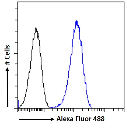 Flow Cytometry - Goat polyclonal to GAD67/GAD1 (AB80589), expandable thumbnail