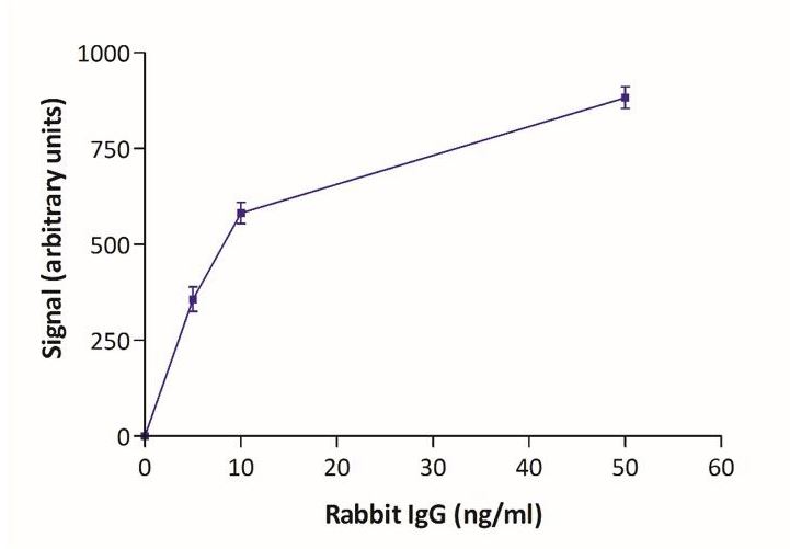 Lateral flow assay - Goat Anti-Rabbit IgG (20nm Gold, 10 OD) (AB270563), expandable thumbnail