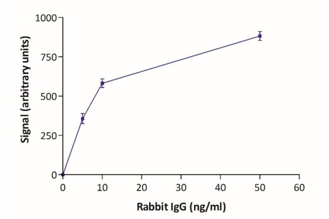 Lateral flow assay - Goat Anti-Rabbit IgG (80nm Gold, 10 OD) (AB270700), expandable thumbnail