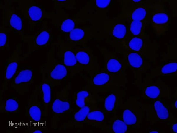 あーく　ページ ZX Spectrum アーケード移植 第4弾 - R-Type (1988) : r/retrogaming